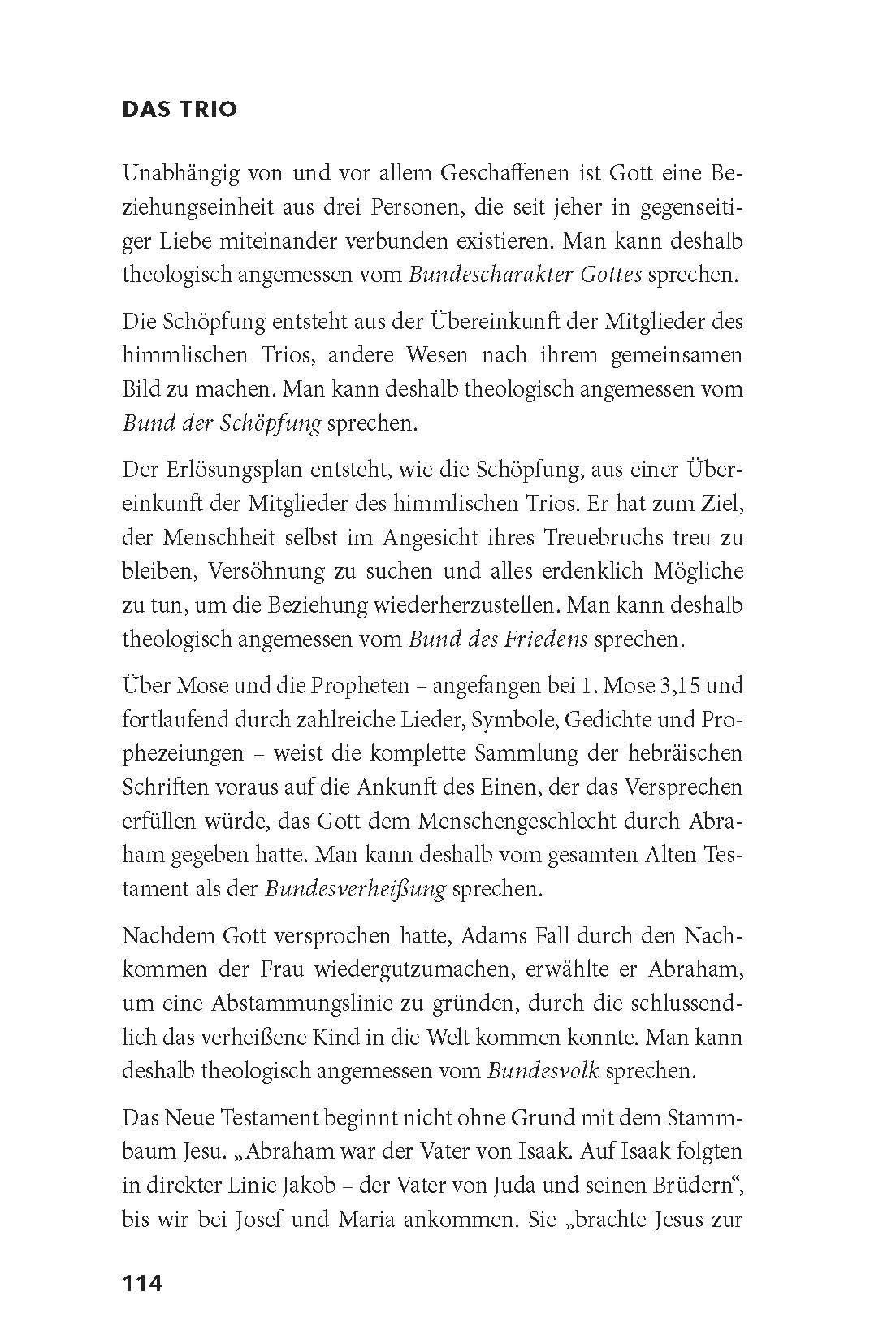 Advent-Verlag GmbH-Das Trio_2422199_21 Advent-Verlag GmbH-Das Trio_2422199_