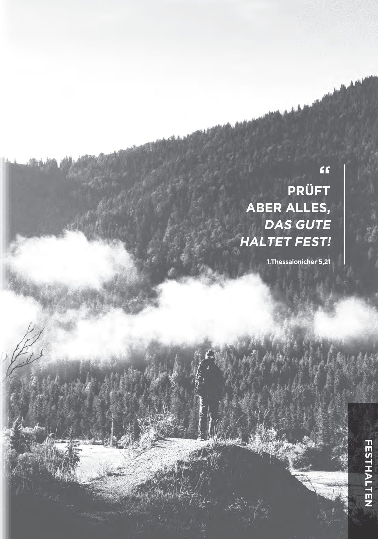 ABC Medien GmbH-Heimathafen für Männer_2431885_