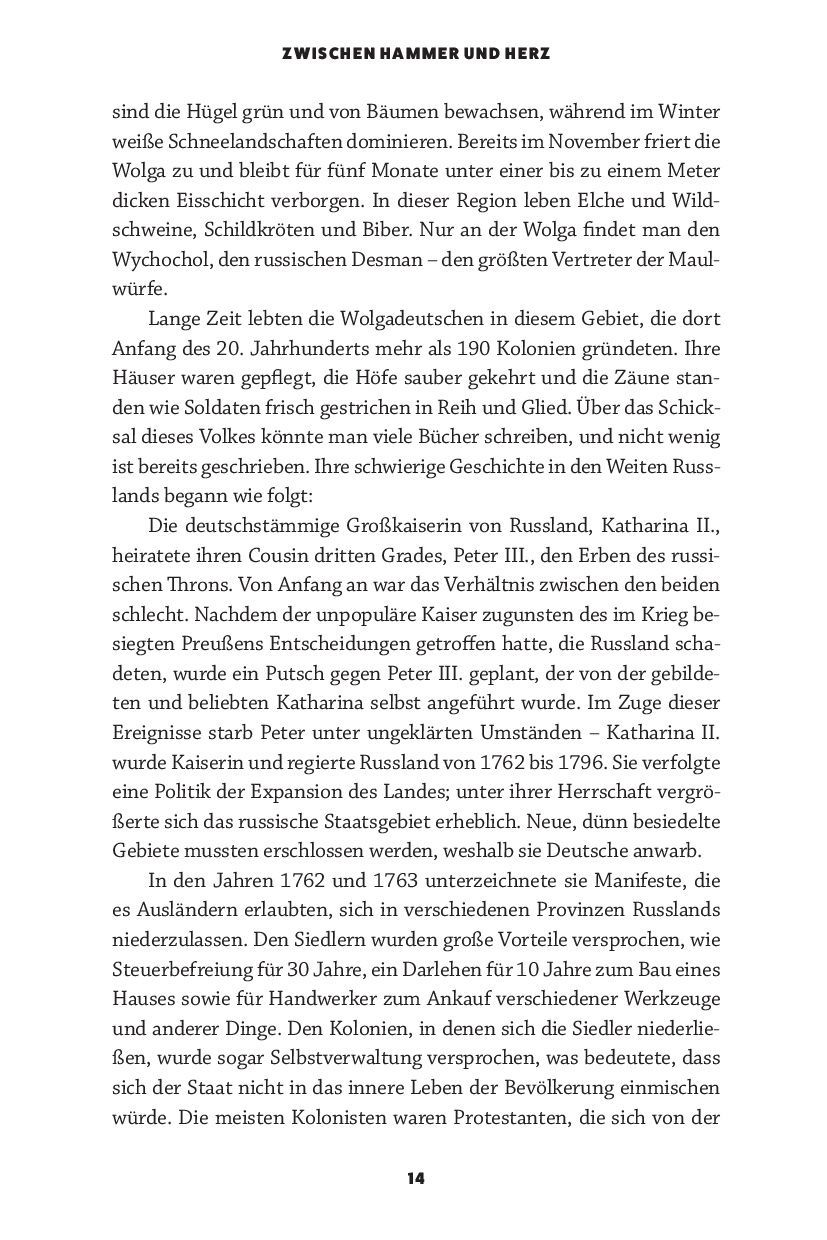 Advent-Verlag Schweiz-Zwischen Hammer und Herz_2413050_5 Advent-Verlag Schweiz-Zwischen Hammer und Herz_2413050_