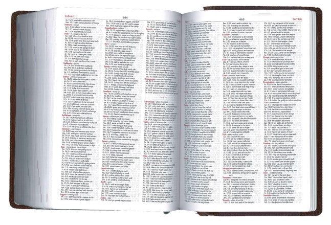 Oklahoma Academy Publishing-Bibel, Englisch, Mission Study Bible, KJV, Softleder blau-grau (Sapphire)_2541623_
