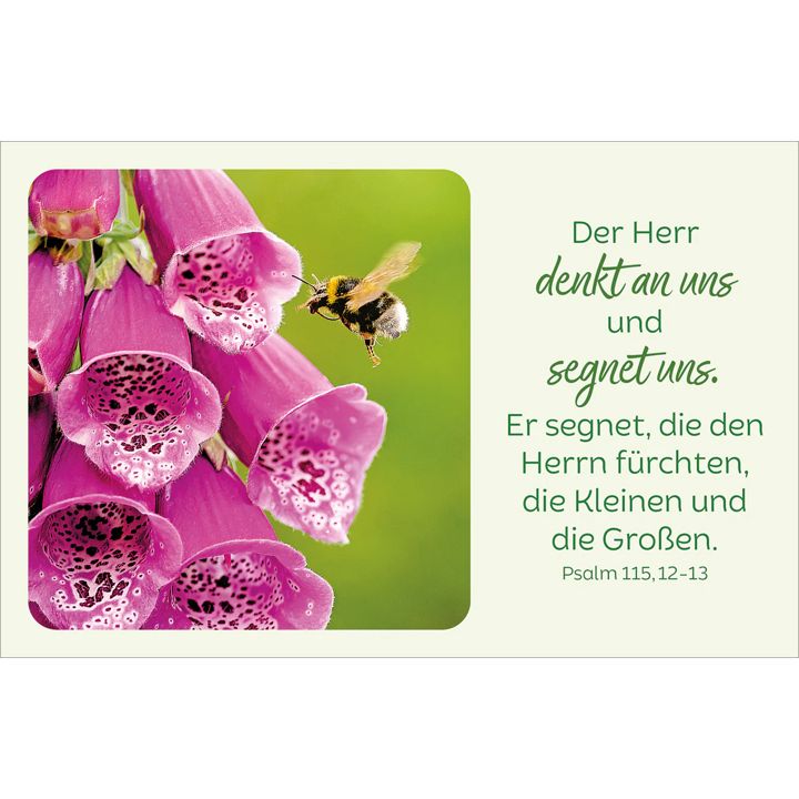 Kawohl Verlag-Blütenreiche Bibelverse_4943038_