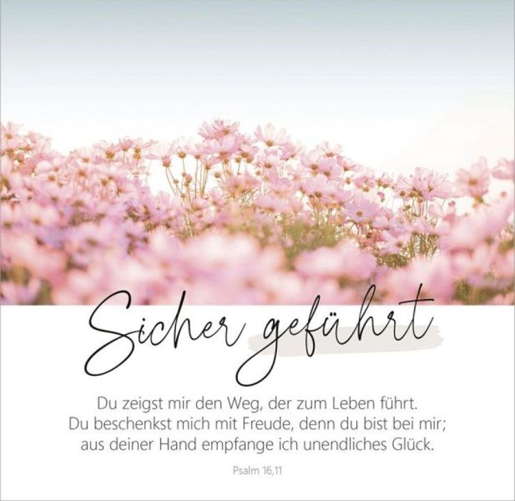 Gerth Medien-Wunderbar gemacht - Aufstellbuch_2942769_11 Gerth Medien-Wunderbar gemacht - Aufstellbuch_2942769_