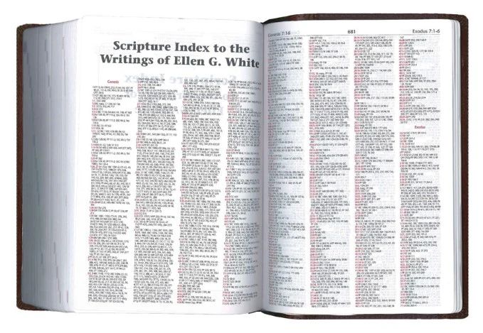 Oklahoma Academy Publishing-Bibel, Englisch, Mission Study Bible, KJV, Softleder blau-grau (Sapphire)_2541623_