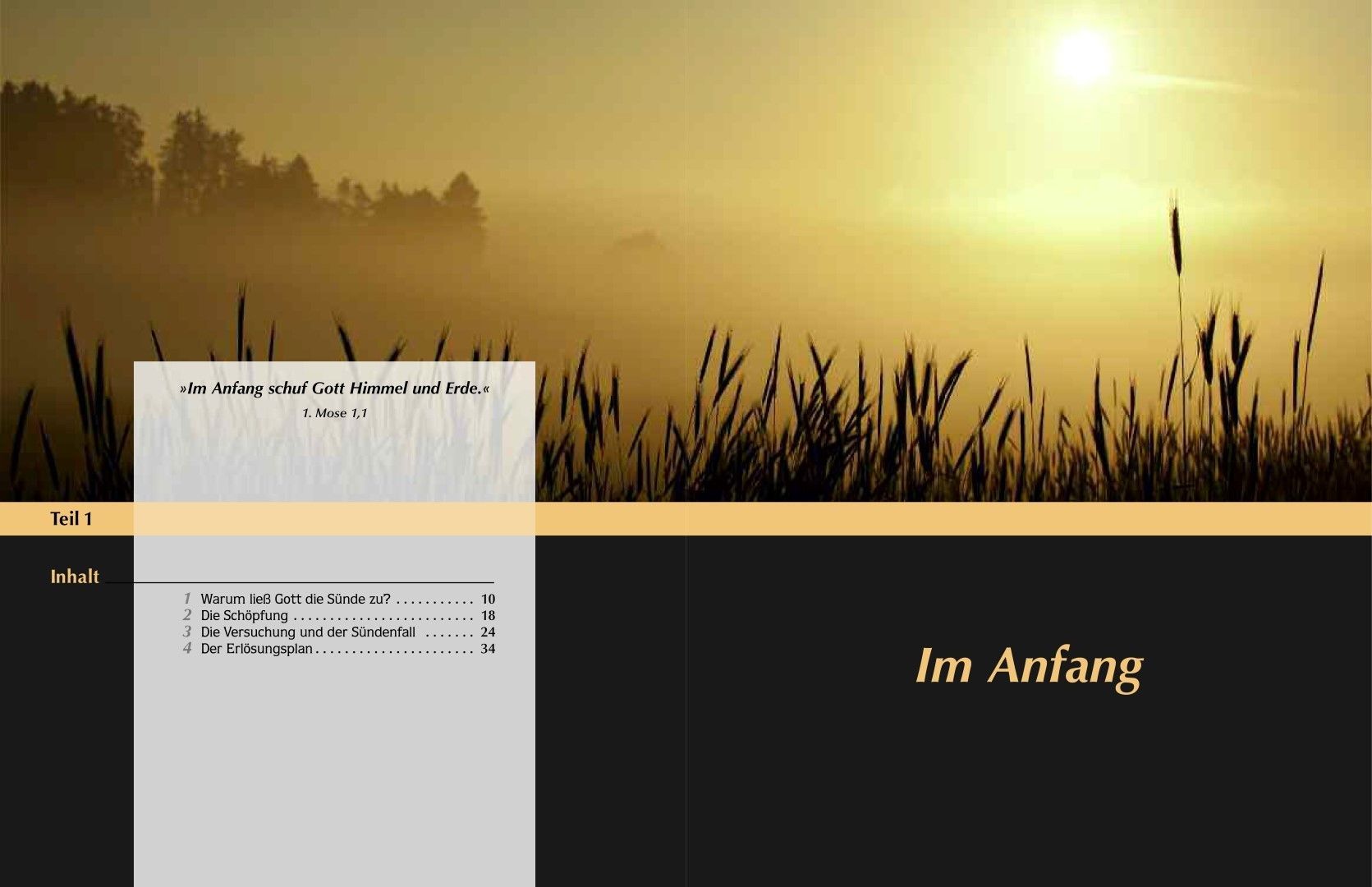 Advent-Verlag Schweiz-Wie alles begann, Premium_2210384_