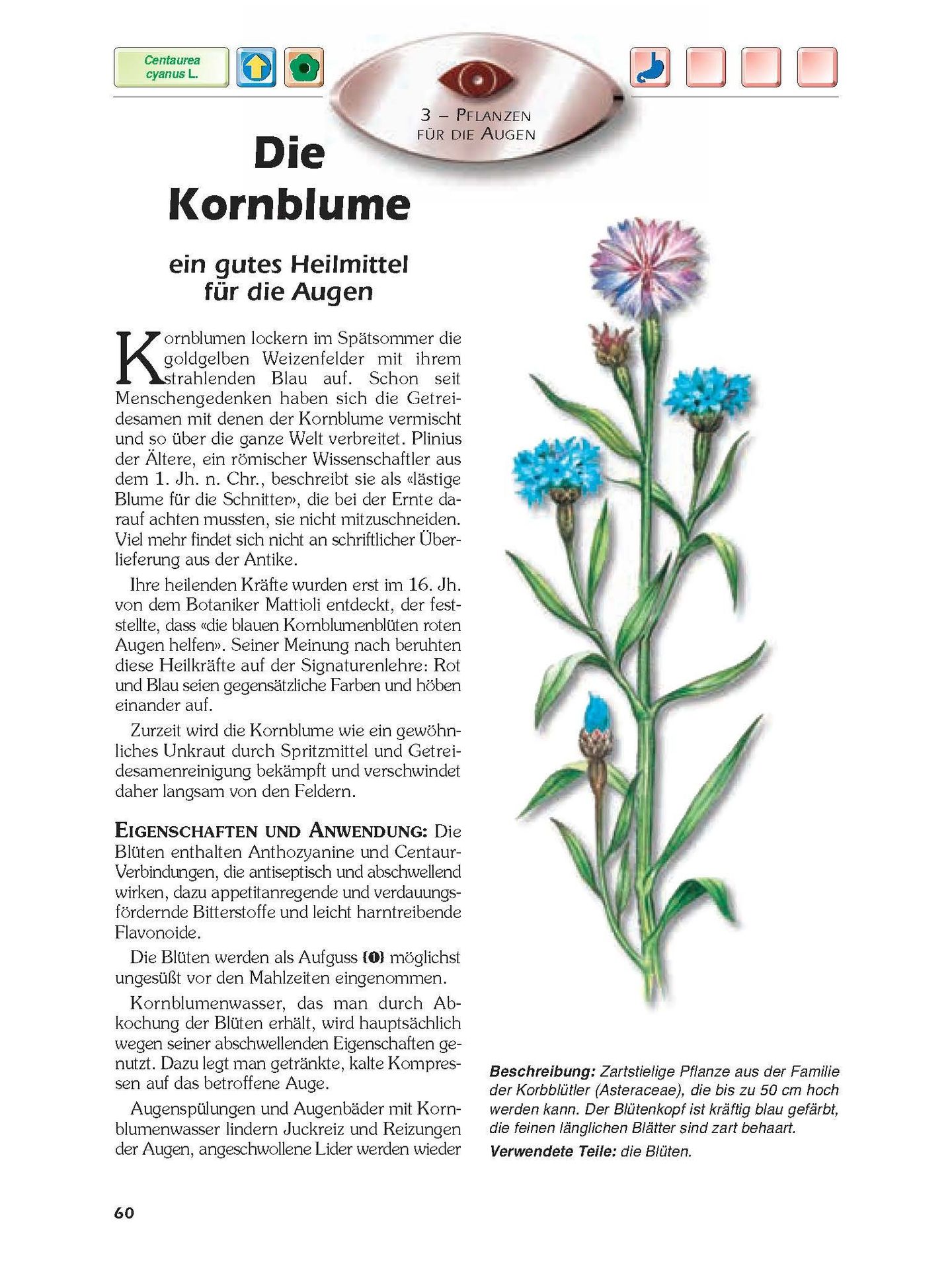 Advent-Verlag Schweiz-Heilkräfte der Pflanzen_2210177_
