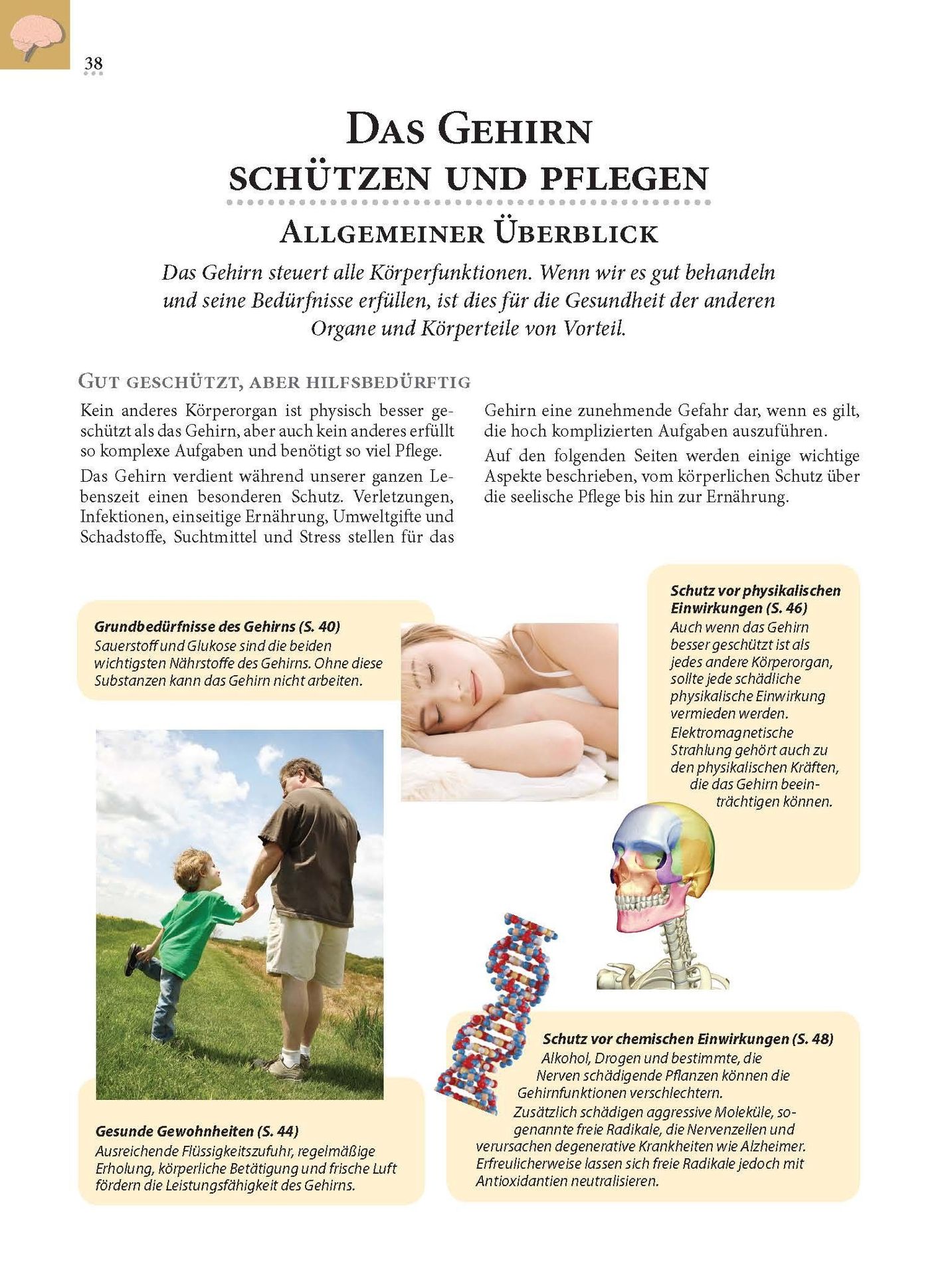 Advent-Verlag Schweiz-Heilkräfte für den Körper_2210178_11 Advent-Verlag Schweiz-Heilkräfte für den Körper_2210178_