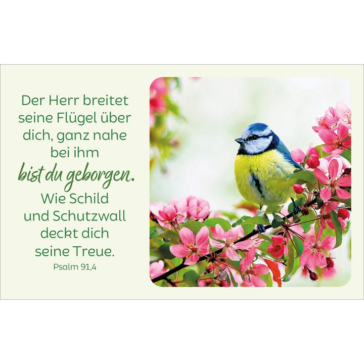 Kawohl Verlag-Blütenreiche Bibelverse_4943038_