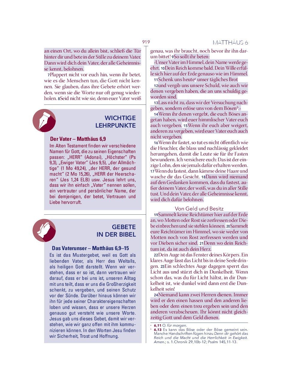 Advent-Verlag Schweiz-Bibel, Neues Leben, HOPE BIBEL, Standard, rot-weiss-blau_2412635_