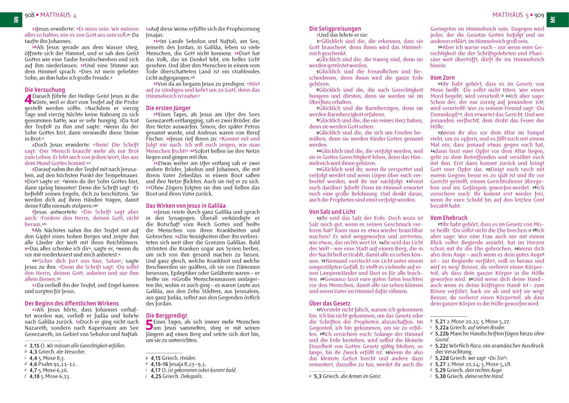 Editorial Safeliz S.L.-Bibel, Neues Leben, Pfadfinder, Taschen, pink-gelb_2422596_