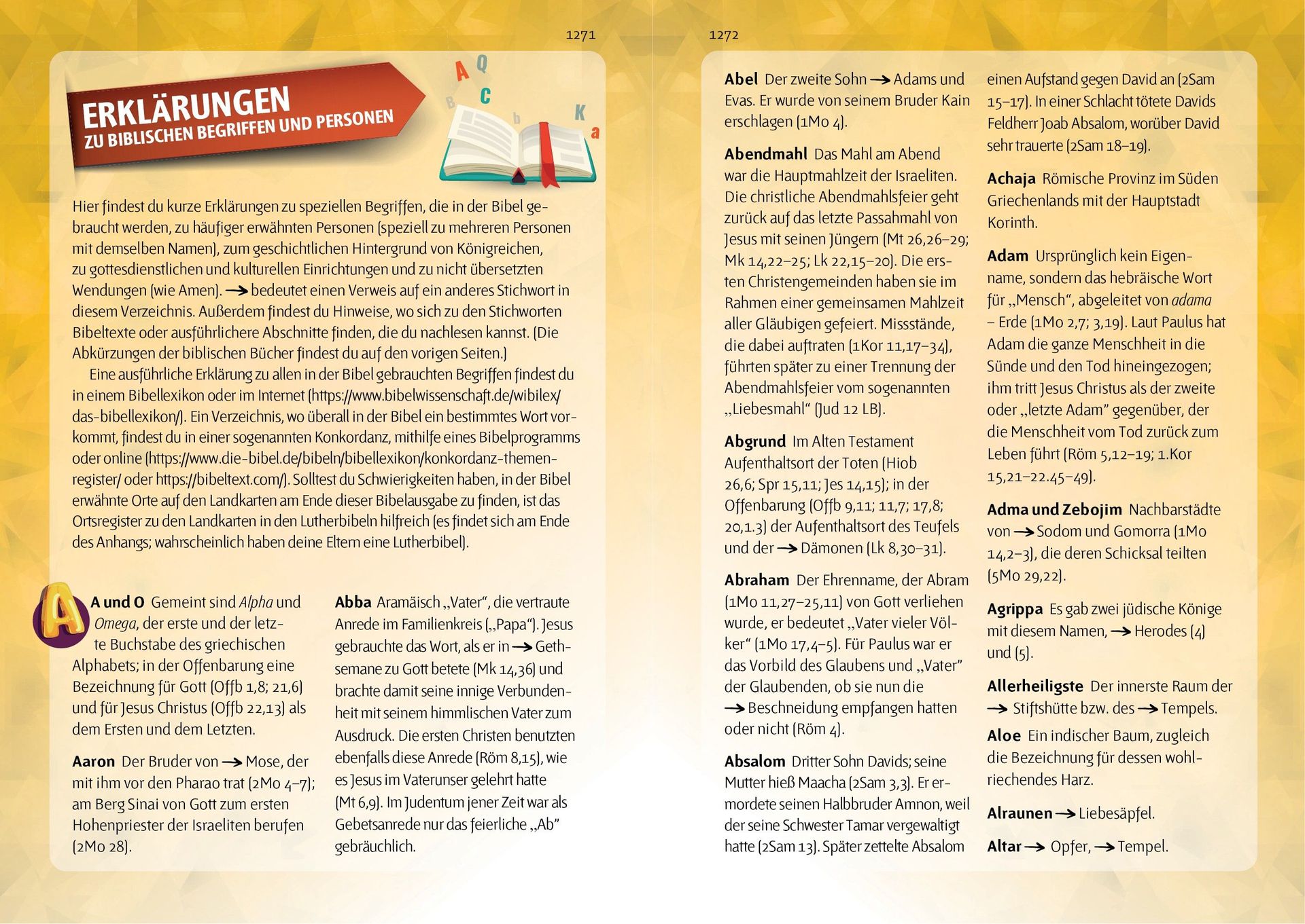 Advent-Verlag GmbH-Bibel, Neues Leben, Pfadfinder, Taschen, grau-rot_2921800_