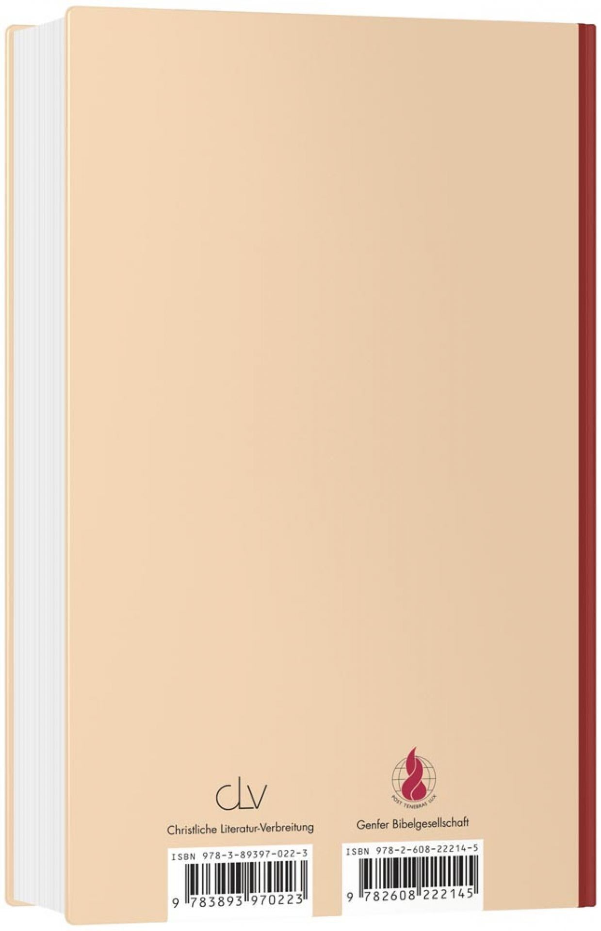 GLOW e.V.-GLOW-Flyer: Wo ist Gott, wenn ich leide, Französisch (Ou est Dieu quand ...?)_4542051_
