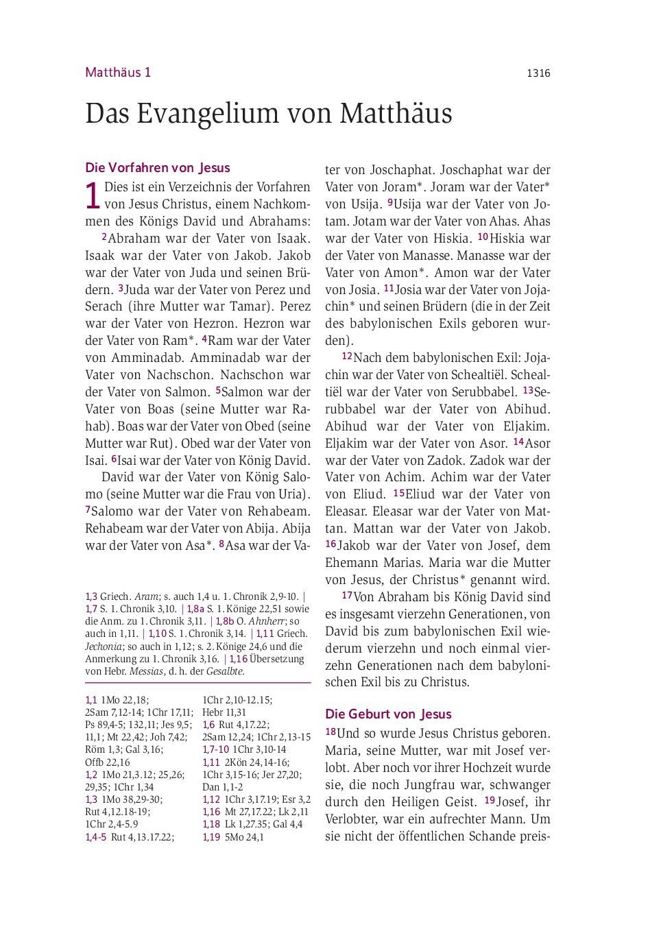 SCM Brockhaus-Bibel, Neues Leben, Standard, Berge, Hardcover_2942767_