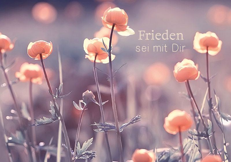 4742904_0.jpg Frieden sei mit dir